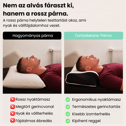 TartásMester Pillangó Párna