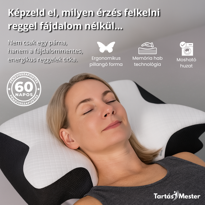 Tartásjavító Pillangó Párna