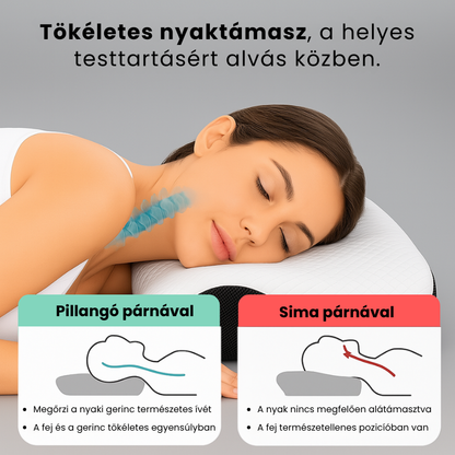 Tartásjavító Pillangó Párna